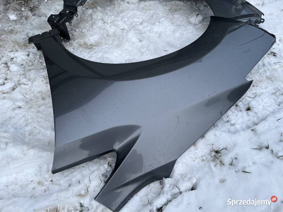 Nissan leaf Błotnik lewy prawy wielkopolskie Poznań