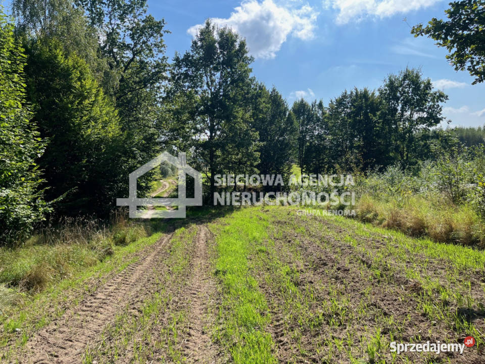 Działka 11494m2 Brodnica Górna