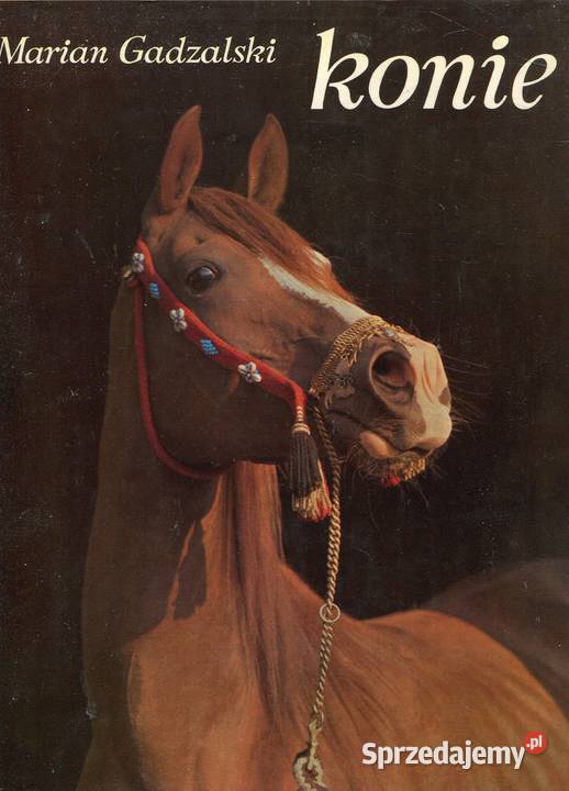 Konie Marian Gadzalski