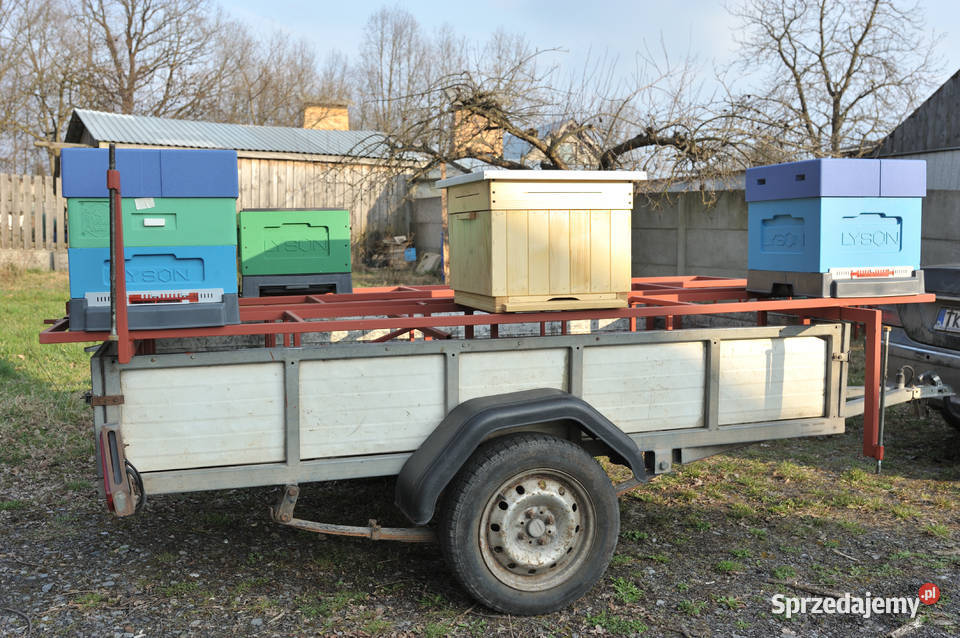 Zabudowa przyczepki platformą do przewozu uli Odrowąż