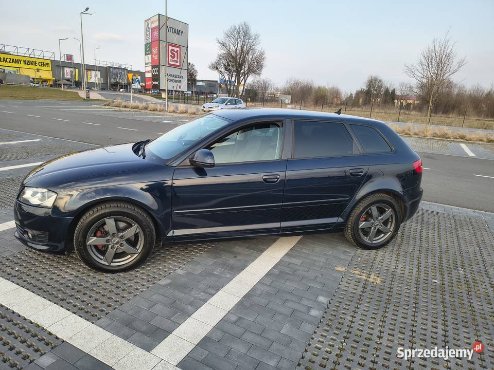 Audi A3 8P 20TDI Kormanice sprzedam