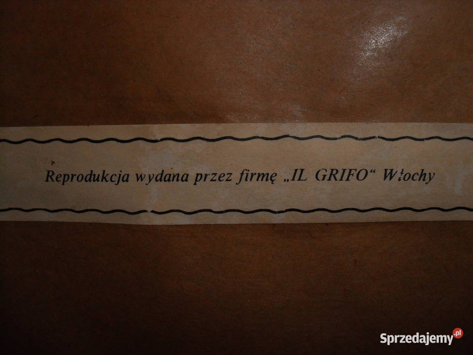 Obraz PEJZAŻ GÓRSKI Bielawa