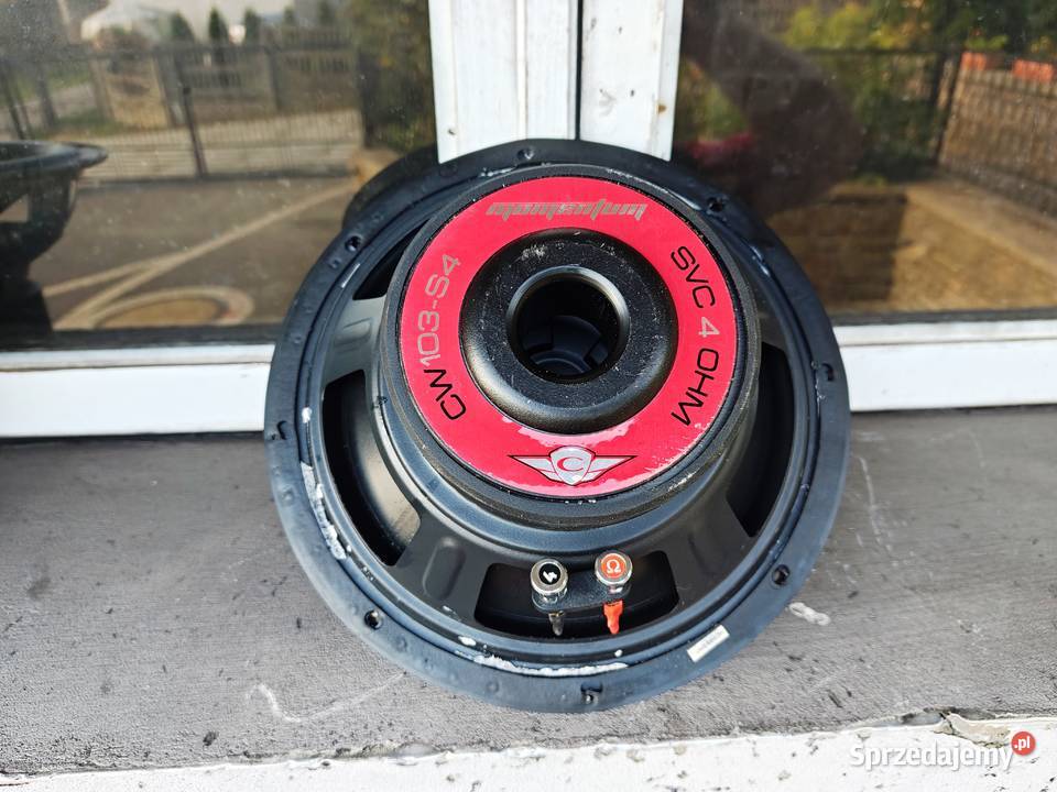 Głośnik bassowy basowy niskotonowy 10 25 250mm Niegowonice