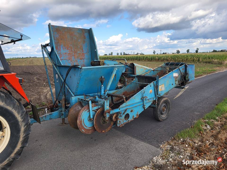 Kombajn zbieracz do ziemniaków cebuli Bolko Z Osięciny sprzedam