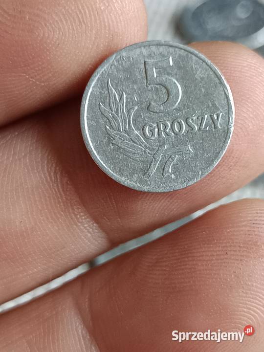 Sprzedam t groszy 1949 Chełm sprzedam