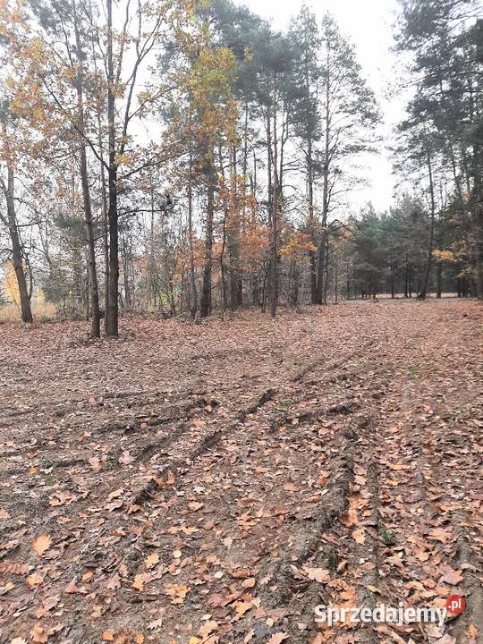 Działka 950 m2 Góry gm Jakubów k Mińsk Mińsk Mazowiecki
