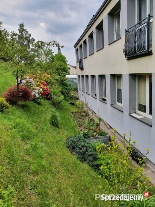 Kamienica Limanowa 658m2