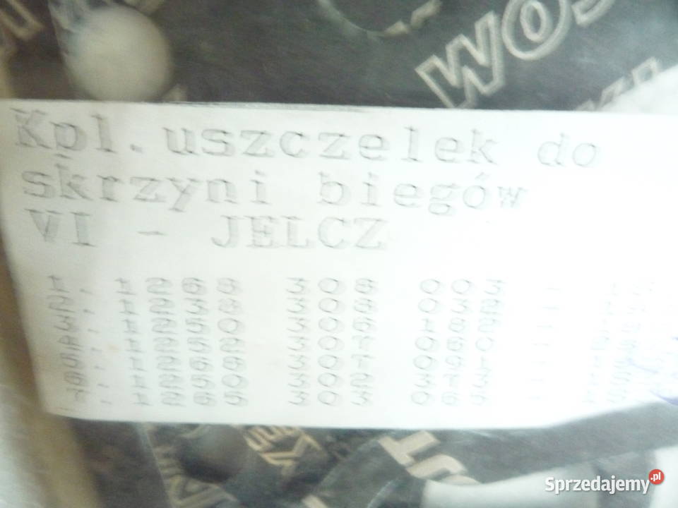 KPLUSZCZSKRZYNI BIEGÓW VI JELCZ Góra
