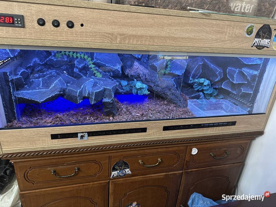 Terrarium robione na zamówienie Żyrardów