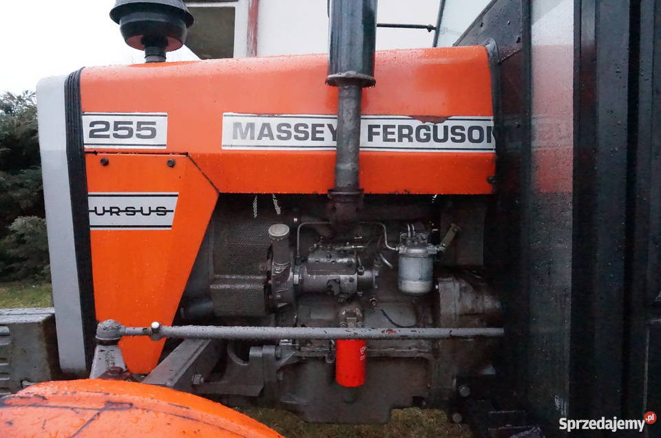 Massey Ferguson 255 Kolbuszowa