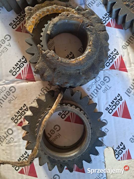 Koło zębate 3 biegu Massey Ferguson Z24 Jarocin sprzedam