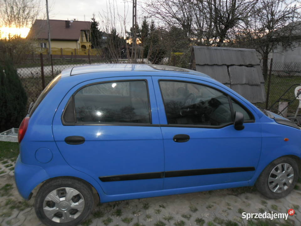 sprzedam Kazuń Polski