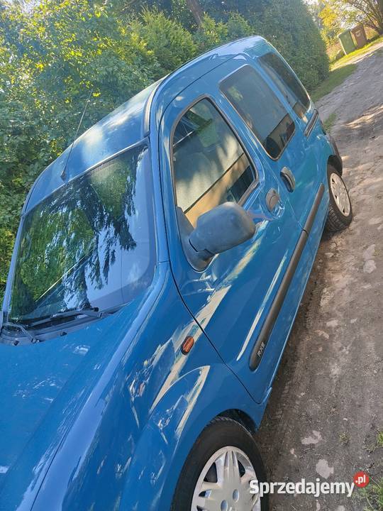 Renault Kongoo Bożepole Królewskie
