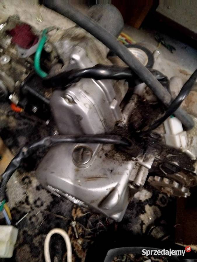 Silnik romet ogar 900