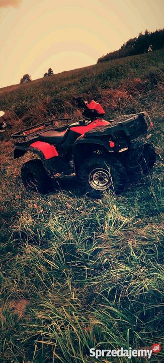 Quad Bashan Bs250S5 półautomatyczna Bashan Wielki Klincz