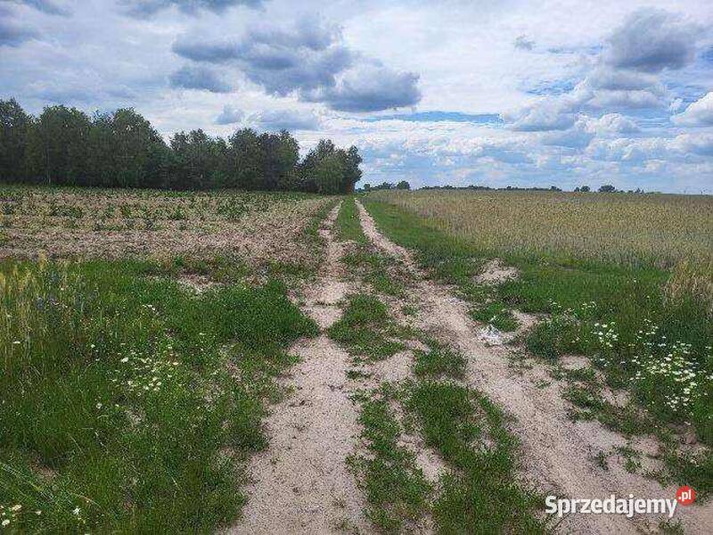 Niezabudowana nieruchomość rolna łączna pow 50700m2 Dziadkowskie-Folwark