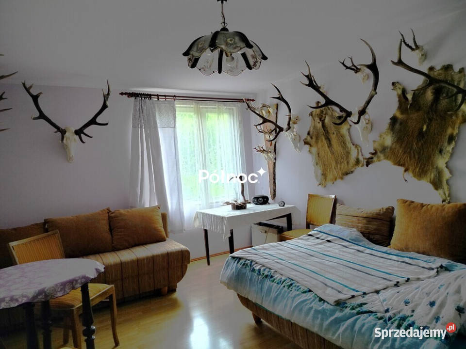 piękne ranczo z łąką i lasem pod HoryńcemZdrojem Sprzedaż Grunty i działki Dziewięcierz