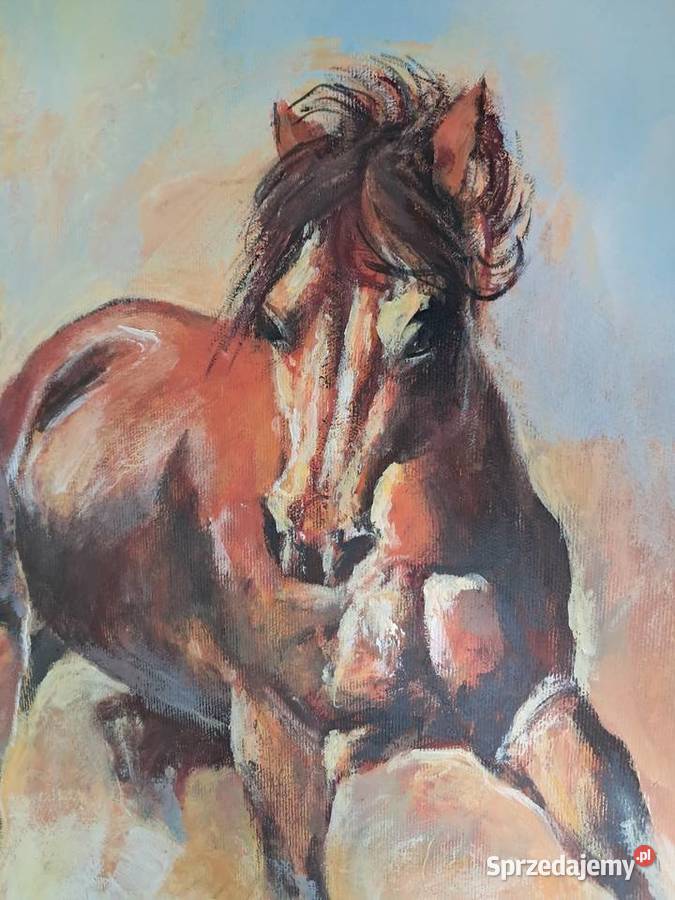 konie obraz olejny na płótnie 90x60 Sandomierz