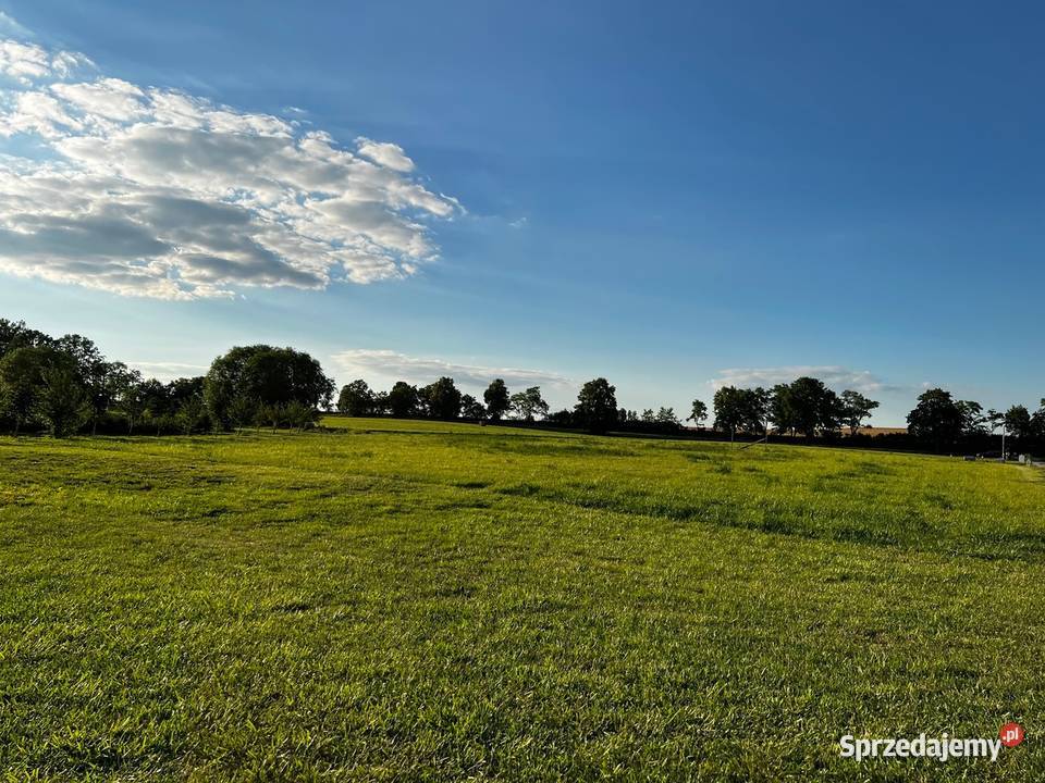 Komorowo działka z linia brzegową jez bytyńskie 157zł/m2 wielkopolskie sprzedam