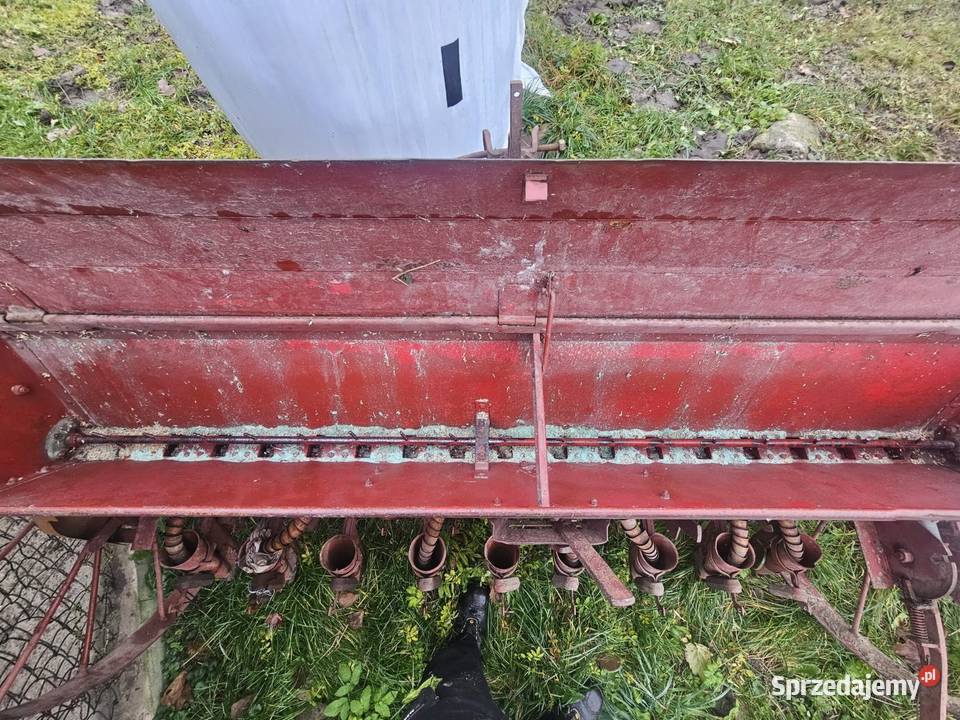 Siewnik podlaskie Kaletnik