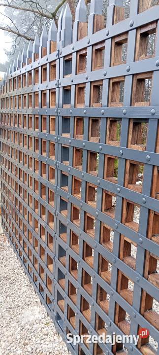 Brama kuta Bełchatów