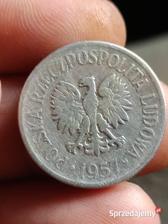 Sprzedam monete 50 groszy 1957 cc Chełm