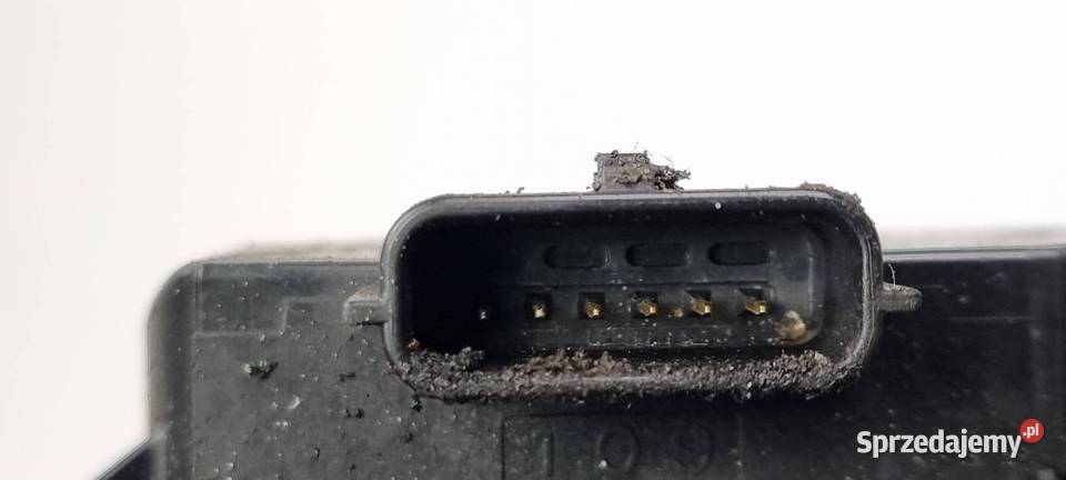 PRZEPUSTNICA RENAULT CLIO II 82002850178 Lipno