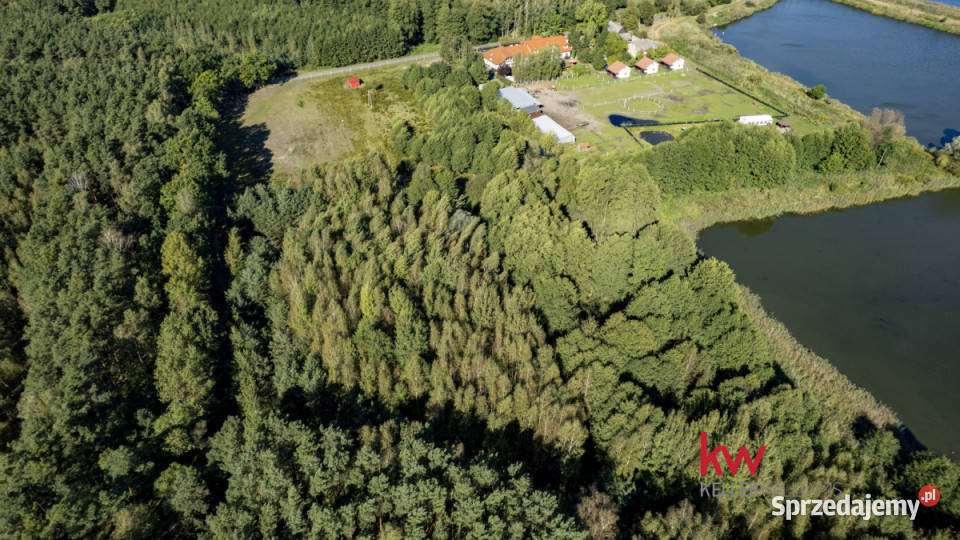 Działka TrzcielOdbudowa 6632m2 wielkopolskie Trzciel-Odbudowa