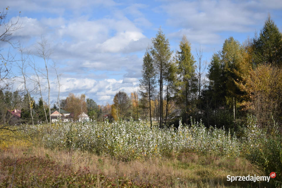 Działka 1937a Rzeszów Sprzedaż