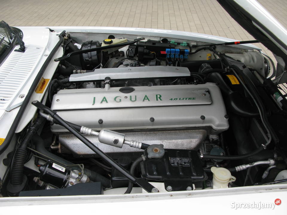 JAGUAR XJS 22 CABRIO 1995 Rok produkcji 1995 podlaskie Białystok