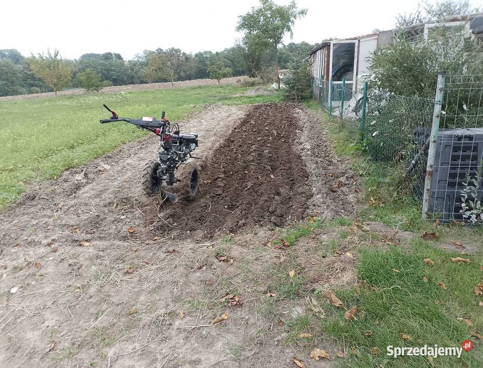 Usługi Ogrodnicze Wieszowa