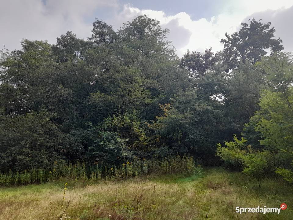 Syndyk sprzeda udziały w grunatach Jastkowice Stalowa Wola