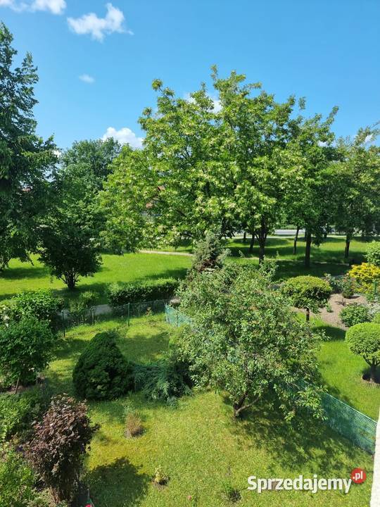 Sprzedam mieszkanie 2 pokojowe w Rumi Janowie z Rumia sprzedam