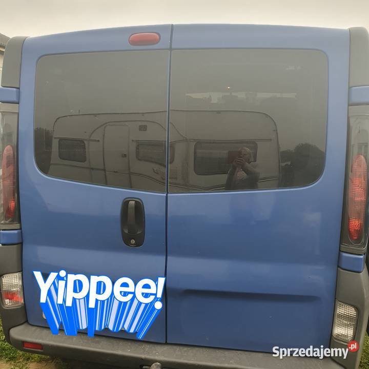 Opel Vivaro przyciemniane szyby Golczew