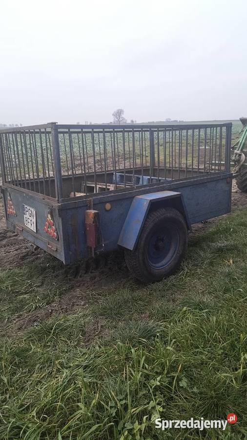 Jednoosiowa przyczepa rolnicza nieuszkodzony Kłecko sprzedam