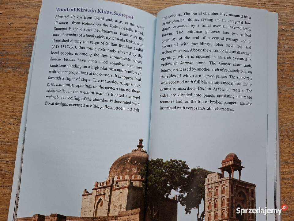 Haryana Archaeological Survey of India Kraków sprzedam