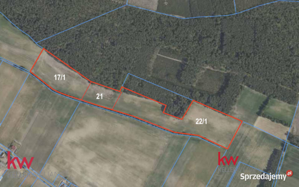 Działka 64170m2 Borzynowo