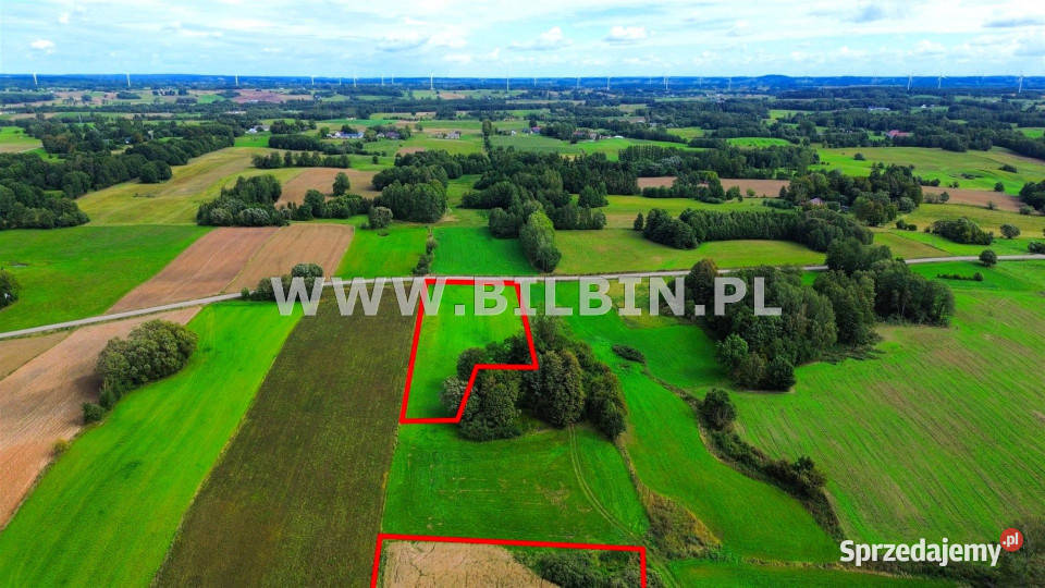 Działka Stara Dębszczyzna 46512m2