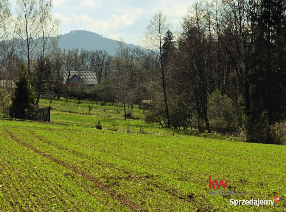 sprzedaży gruntu 3040m2 Świętoszówka