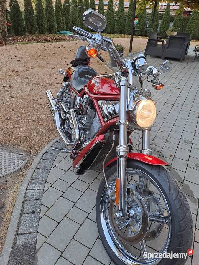 HARLEJ DAVIDSON VROD VRSCSE Harley-Davidson śląskie Tychy sprzedam