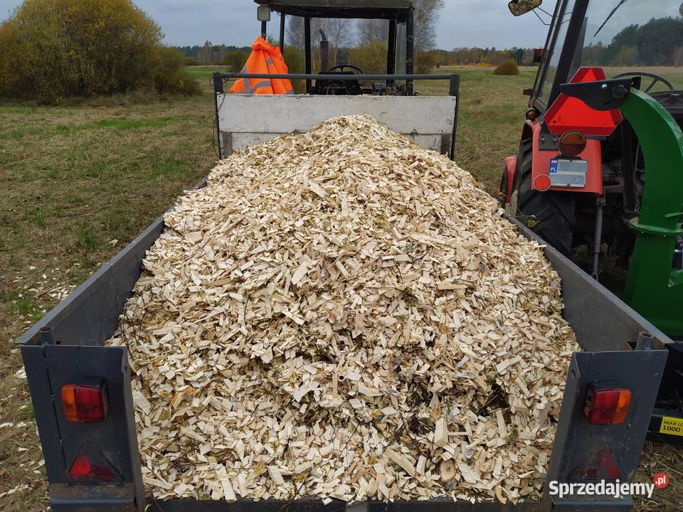 Rębak Tarczowy Tarnogród