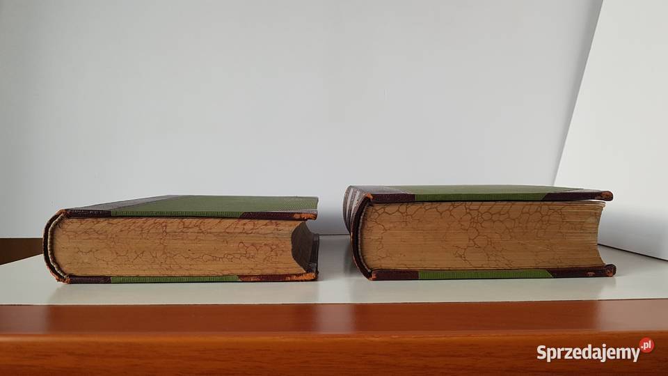 Stary słownik języka polskiego i niemieckiego Dąbrowa Górnicza