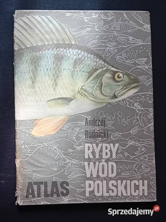 Andrzej Rudnicki Atlas Ryby wód polskich WSiP Koźminek