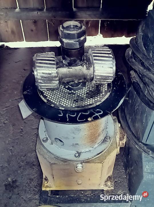 Peleciarka śląskie Pyskowice