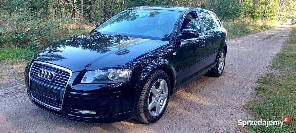 Audi a3 19 tdi 105 DSG Navi Kamera Hak Klima 5 pomorskie Linowiec