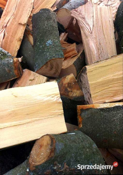 Sezonowane drewno kominkowe i opałowe z Dębno sprzedam