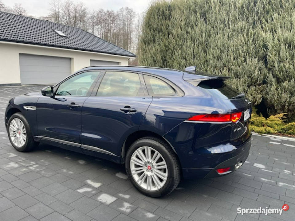 Jaguar FPACE świętokrzyskie Daleszyce