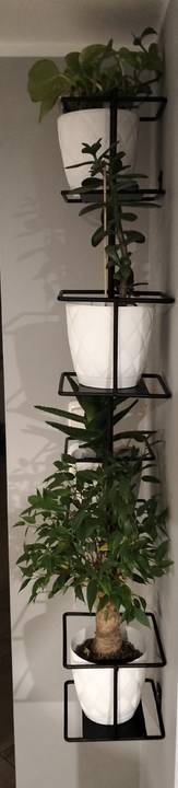 Kwietnik Włocławek