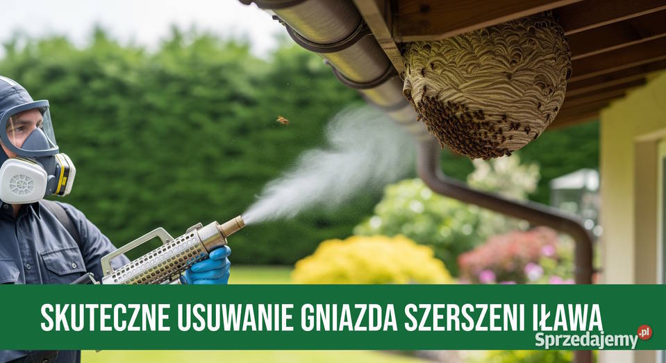 Zwalczanie Szerszeni Iława Usuwanie Gniazd Zwalczanie szkodników, deratyzacja