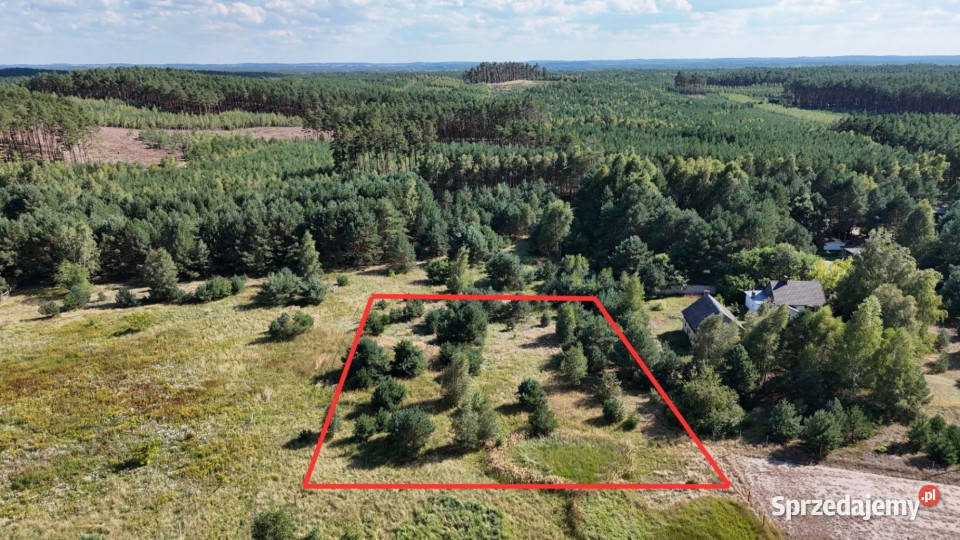 Działka w lesie 3006 m pozwolenie na budowę
